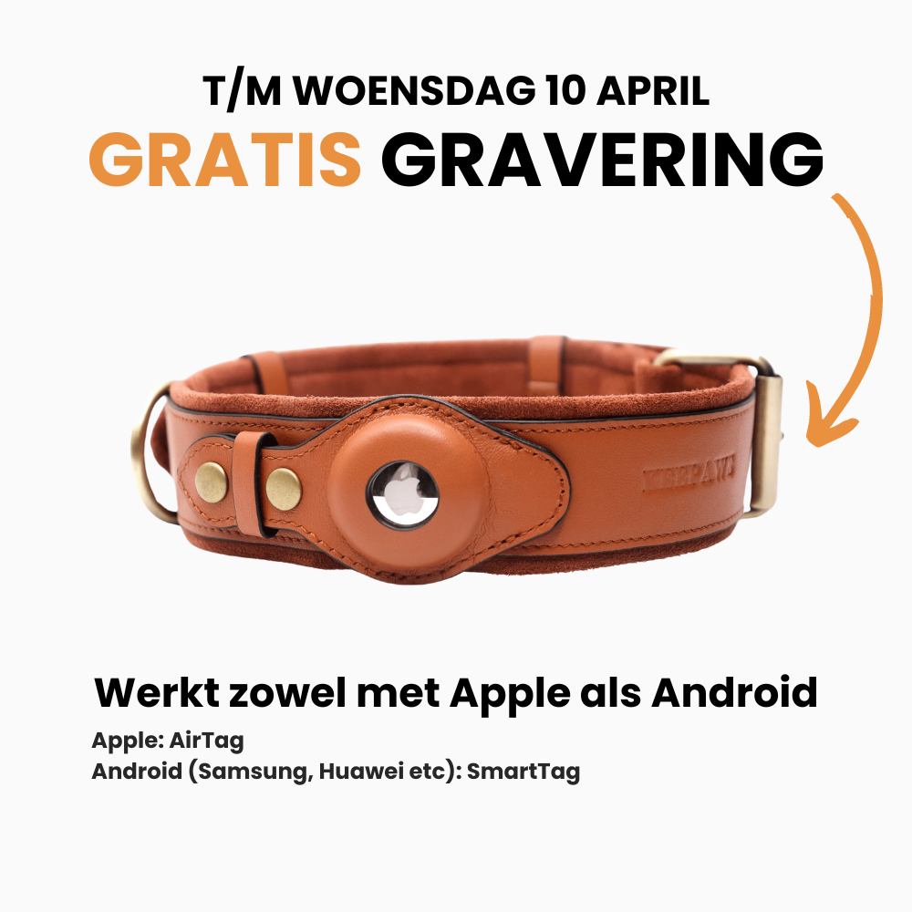 Leren AirTag/SmartTag Halsband