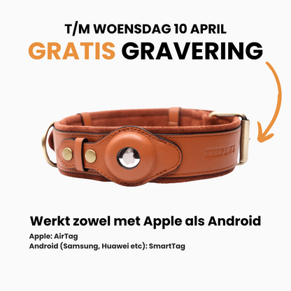 Leren AirTag/SmartTag Halsband